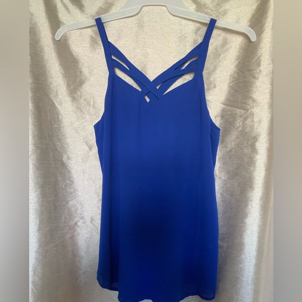Naked Zebra, royal blue size small top